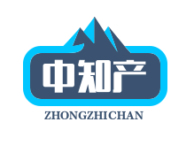 寰宇商服星链商服