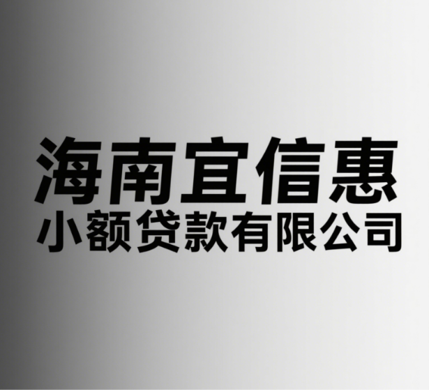 寰宇商服星链商服
