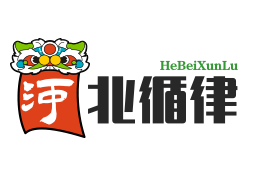 寰宇商服星链商服